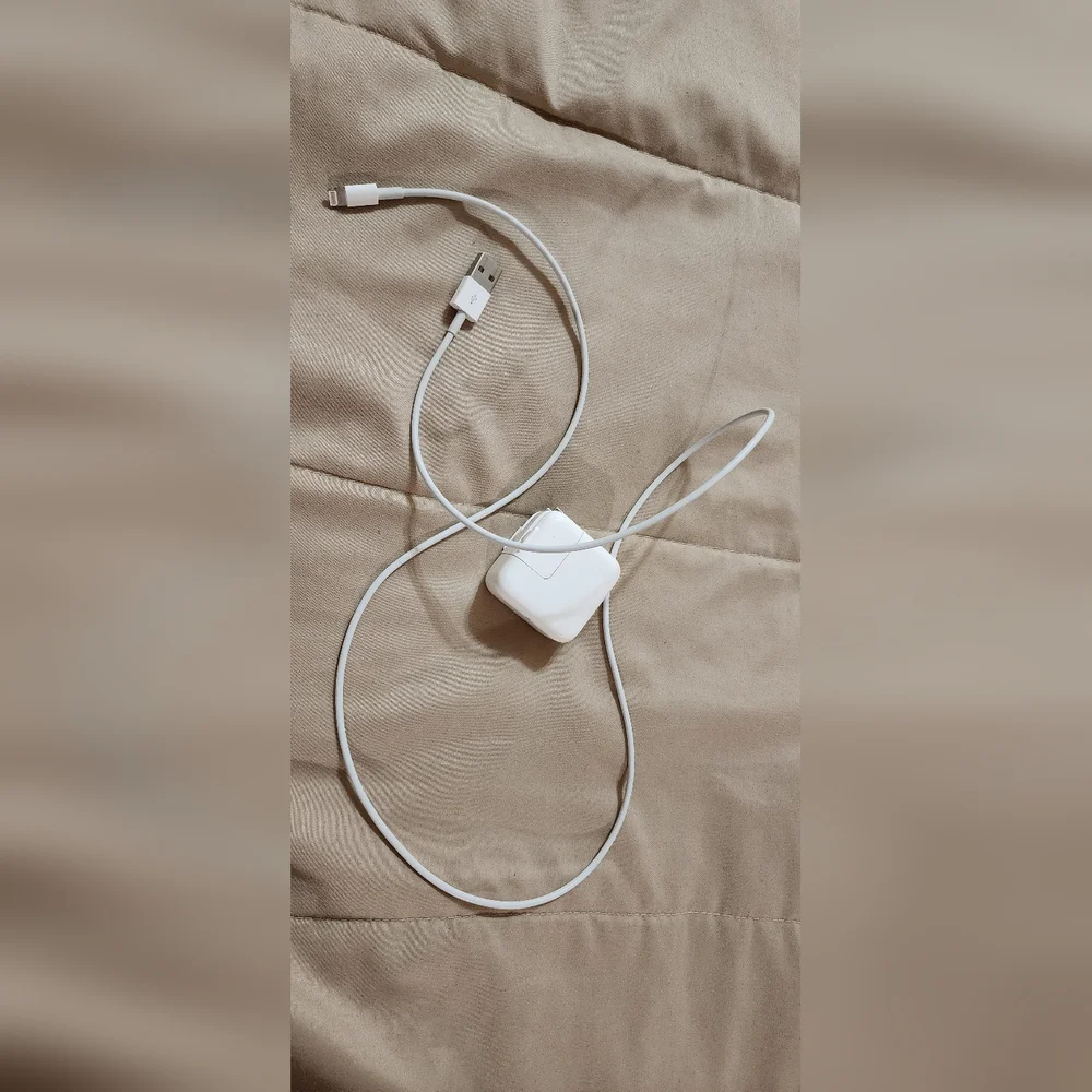 Apple experience sleek