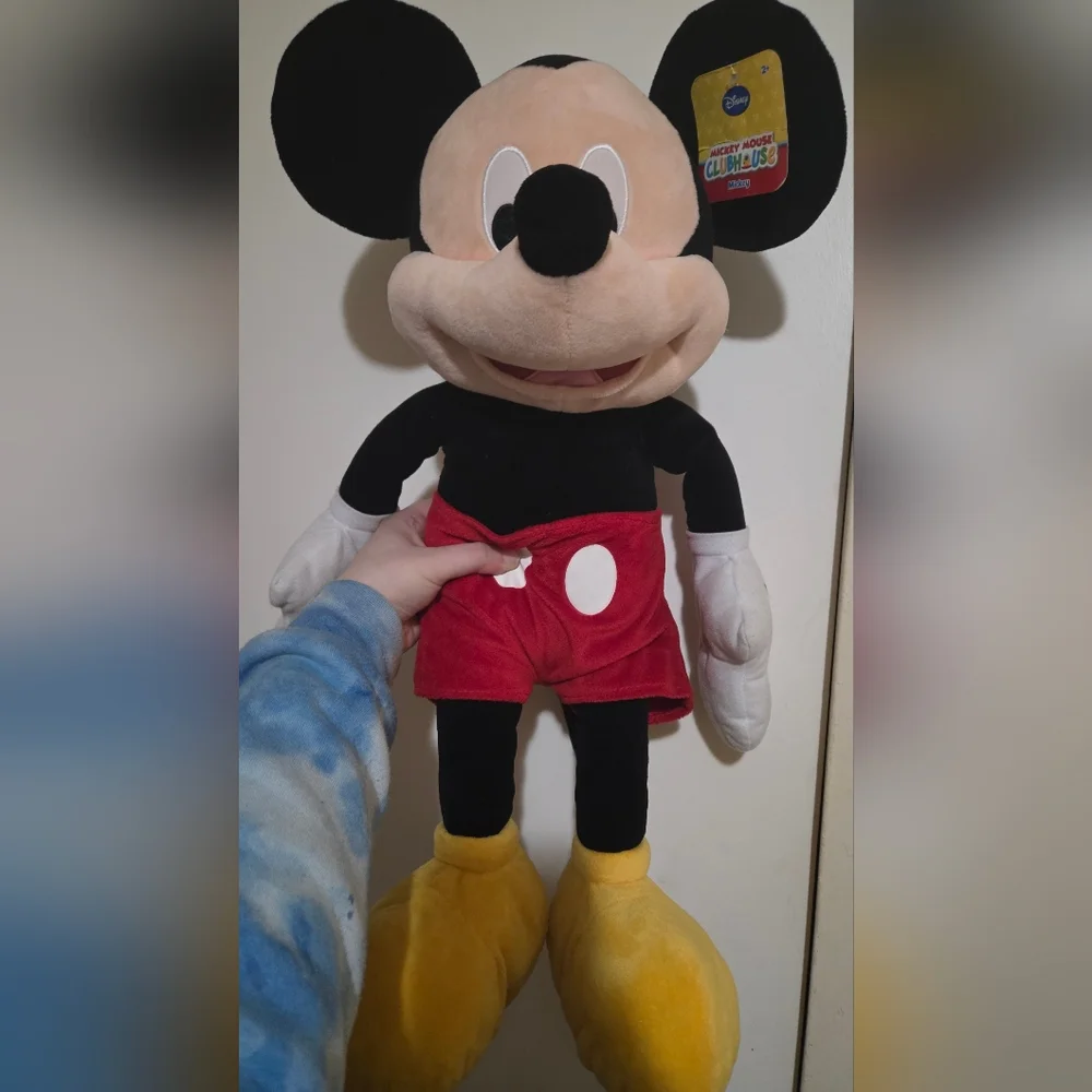 Disney brand new