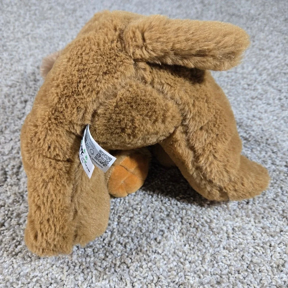 The bear factory meet leo
