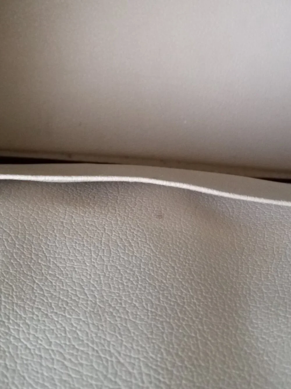 Cream Pebbled Handbag
